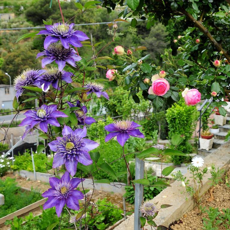 Le Rose Vila San Biagio della Cima Exterior foto