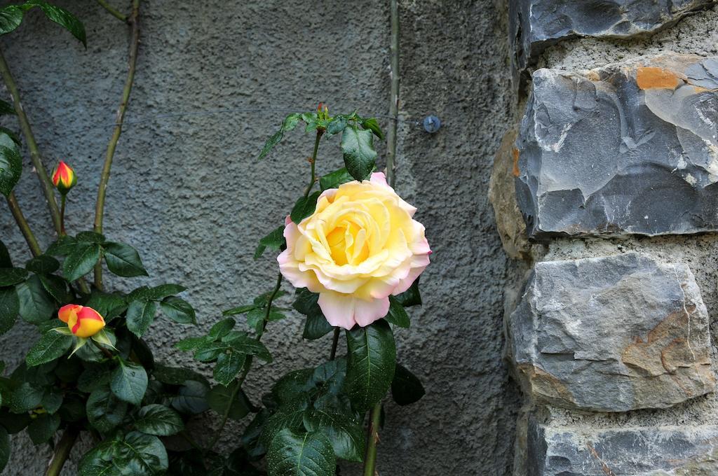 Le Rose Vila San Biagio della Cima Exterior foto